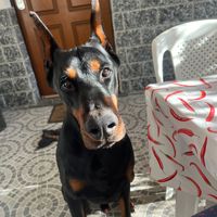 valentina.leto