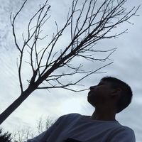 balazs_0801