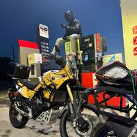 chams690