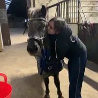 horselife.dotje.andpablo