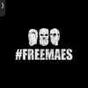 team_maes47