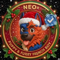 mrneo.ofc