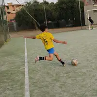mini_porcu014