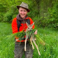 bock_auf_wild