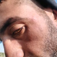 ionel.novac44