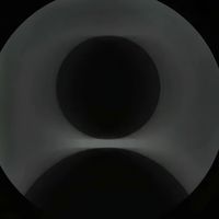 taylor.090511