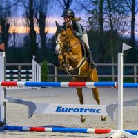 julieeutten..horses