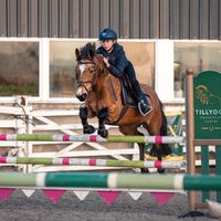 ala_kram.showjumping