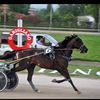 uncavalloperamico05