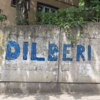 dilberi.071kurdo