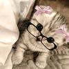 sayli_076