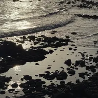 the night is still young