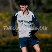 thfc.archiegray