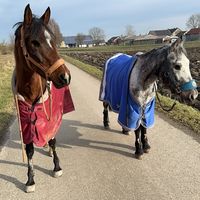 blindspiritandsparky