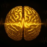 TikTok Account - https://p16-pu-no.tiktokcdn-eu.com/tos-no1a-avt-0068c001-no/c2b932fa63cf0383445db100daa4e3ee~tplv-tiktokx-cropcenter:200:200.jpeg