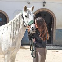 hollyhorsie