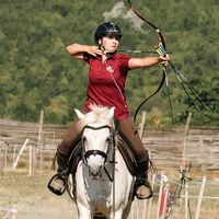 bow_andarrow