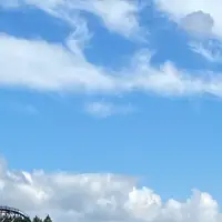 bunnies_mhdhhm