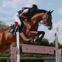 scatwan_jump