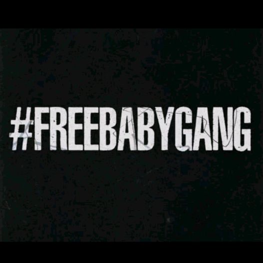 #FREEBABYGANG - original sound