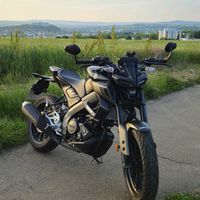 hanspetersackgesicht