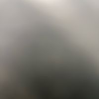 deleted12356771
