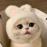 justalex690