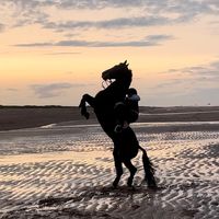 keiras_stables
