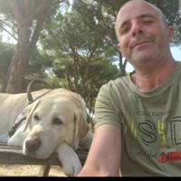 massimo.pimpinelli