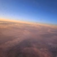 maesie.101