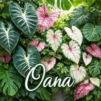 oanaing