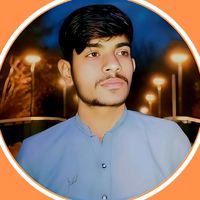 zahidtypist61
