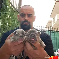 a.g.g.puppies