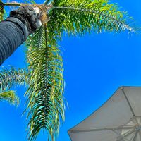 manoa_travel