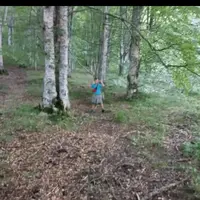 davidutzz7