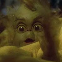 jesslecter