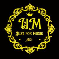 TikTok Account - just.for.musik
