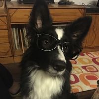 TikTok Account - https://p16-pu-no.tiktokcdn-eu.com/tos-no1a-avt-0068c001-no/d11b0070d02cc0d5d888d441613342e5~tplv-tiktokx-cropcenter:200:200.jpeg