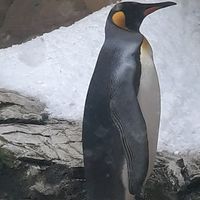 TikTok Account - https://p16-pu-no.tiktokcdn-eu.com/tos-no1a-avt-0068c001-no/d15d7dde14e2e568ca290054383eeb2a~tplv-tiktokx-cropcenter:200:200.jpeg