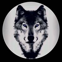 aslan.turkmani0