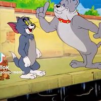 TikTok Account Photo