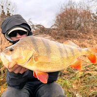 fishing_p3rch