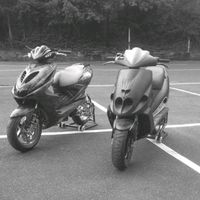 malagutiamg6