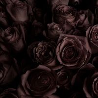 giveyoumylove___