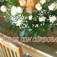 trinivalerohidalgo