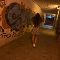rheamoloneyx