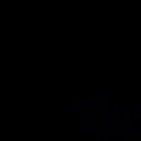 ilyas_btr0