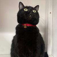 muffymoo15