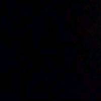 anka_1336