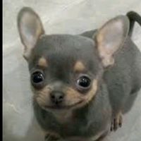 kennedeeznuts13
